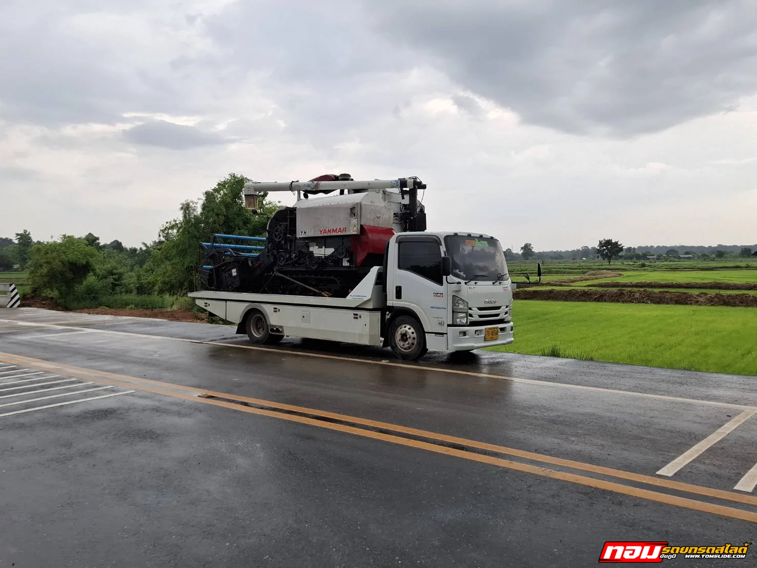 รถเกี่ยว Yanmar YH850 อ.มัญจาคีรี ➤ อ.ภูเขียว ชัยภูมิ